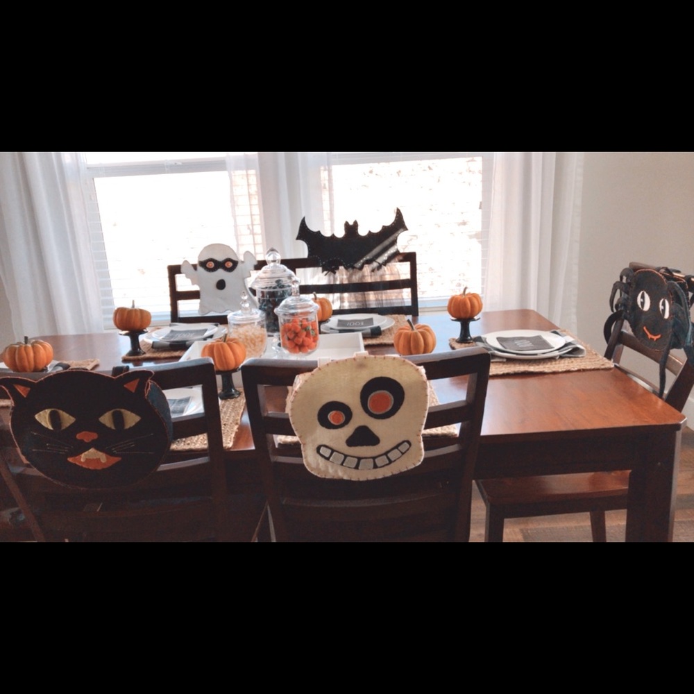 5x25 Pottery Barn chairbacker